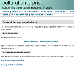 Cultural Enterprise: Business Support for the Creative Industries in Wales