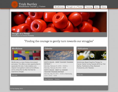 Trish Bartley's website - after